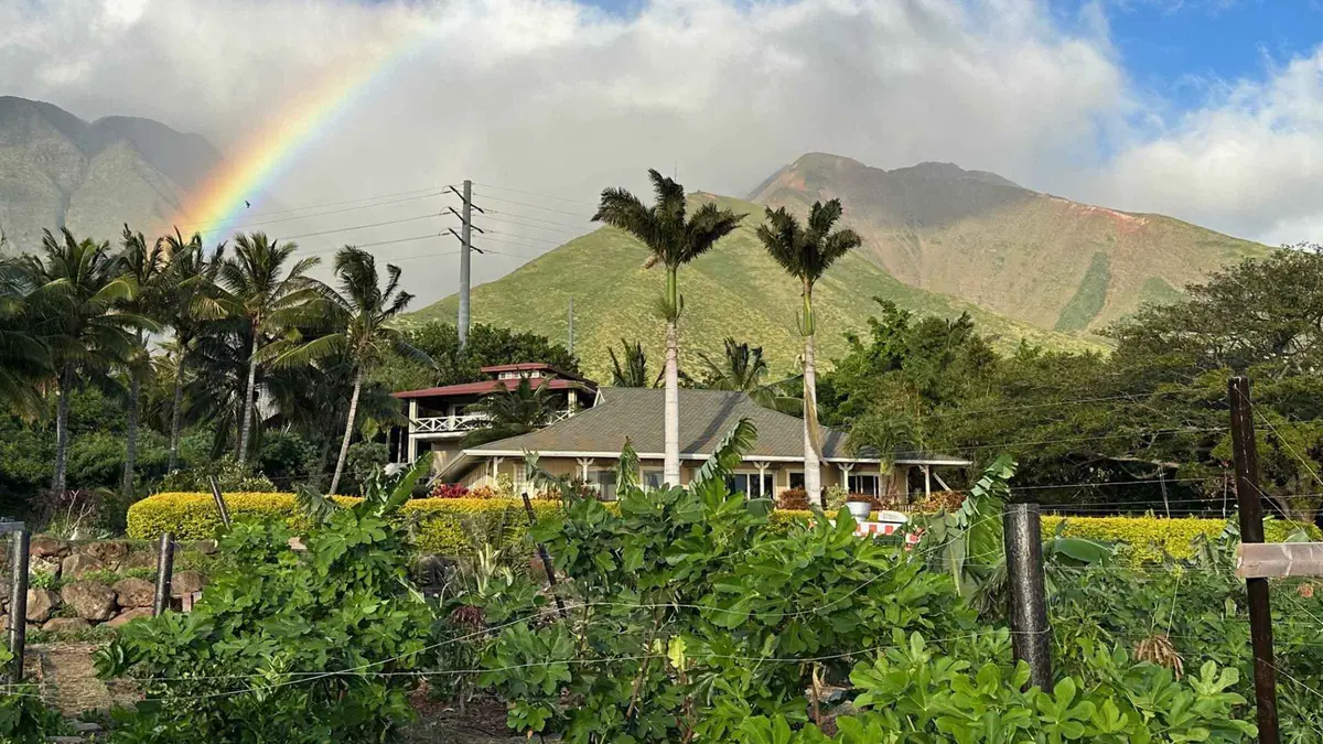A family photographed among mango trees with ocean views behind on a Maui farm sunset photo tour